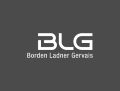 Picture of the BLG Logo