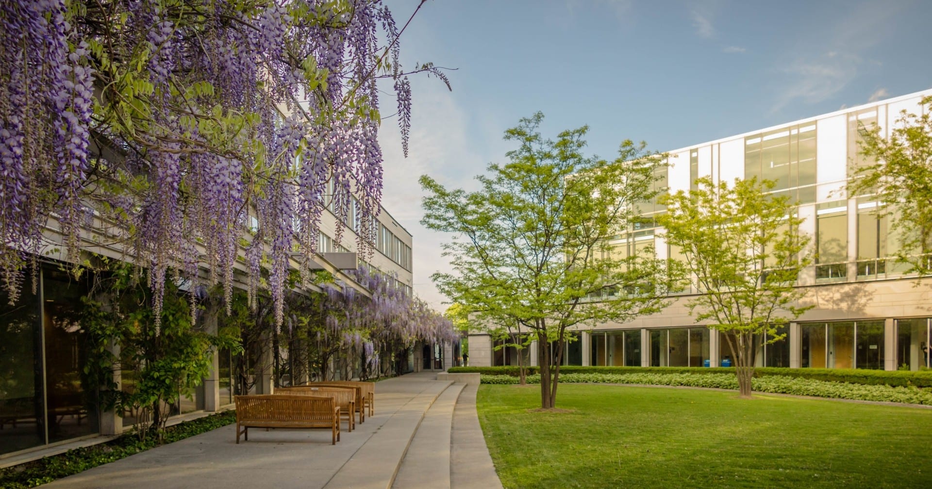 A photo of the Schulich courtyard