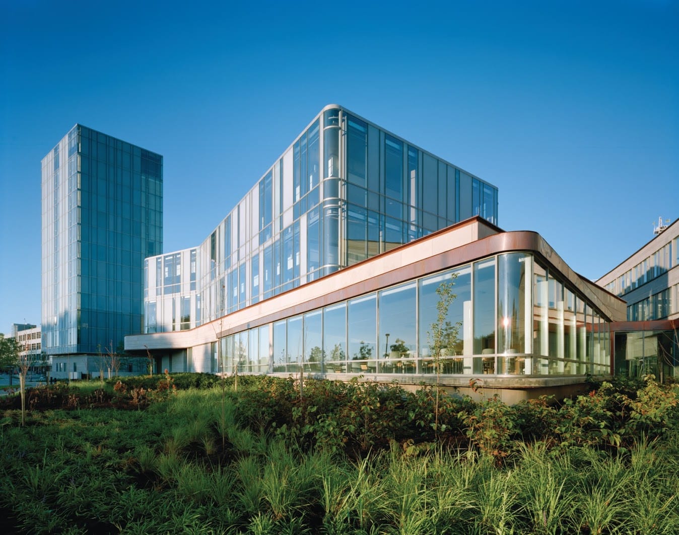 Schulich Ranked #1 in the World in Responsible Business - Schulich School  of Business