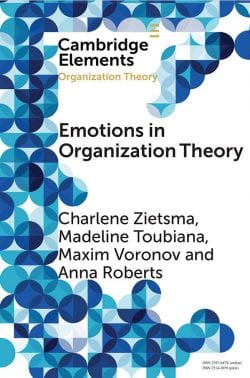 emotions-in-organization-theory