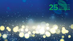 25th Anniversary reunion is overlaid on the Schulich leaves in the upper right corner on a blue background with the effect of twinkling lights along the bottom
